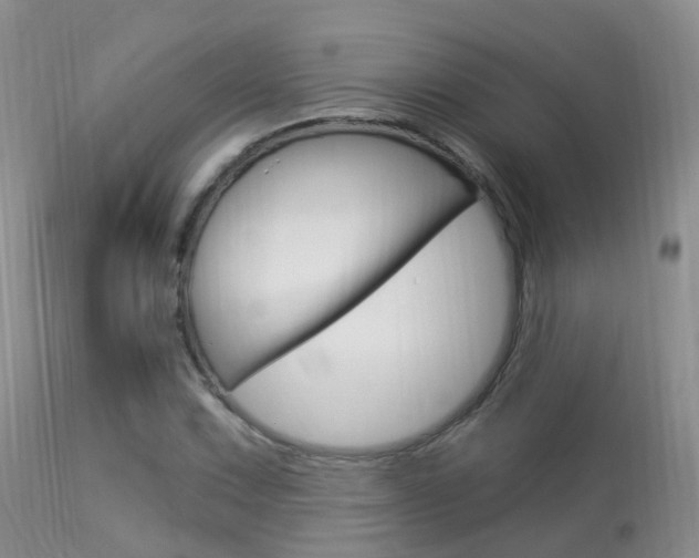 X0000113961067200909251021