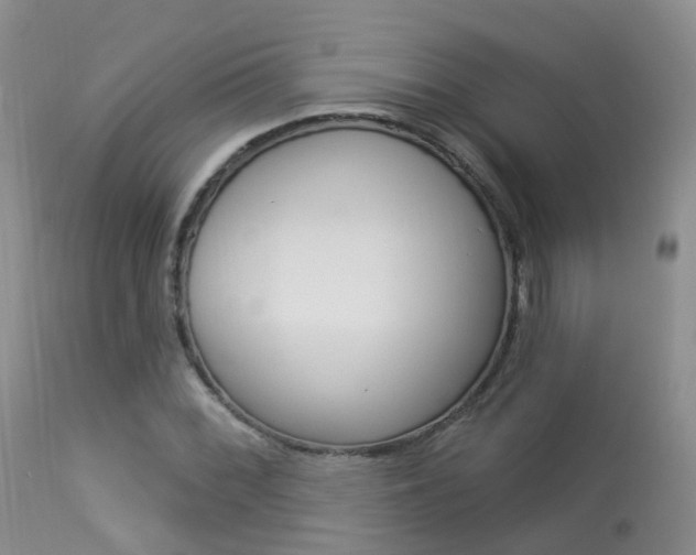 X0000113961068200909251021