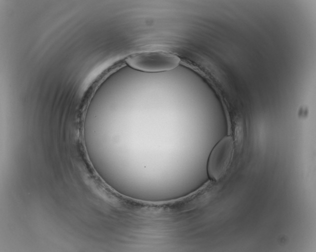 X0000113961069200909251021