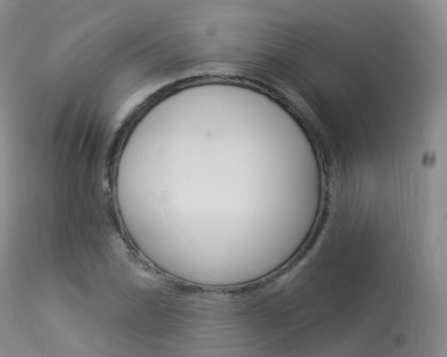 X0000113961070200909251021