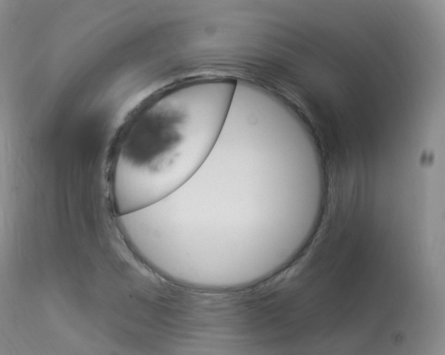X0000113961071200909251021