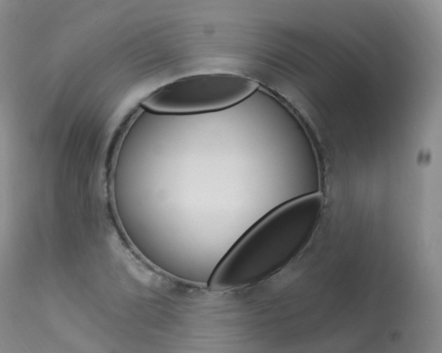 X0000113961072200909251021