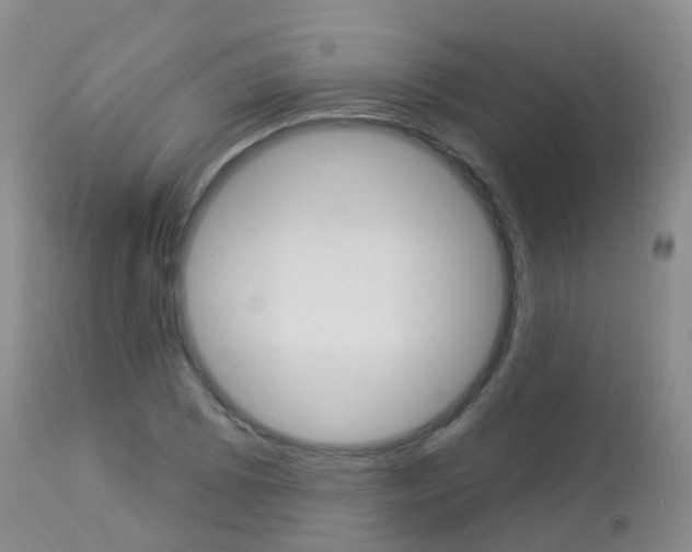 X0000113961073200909251021