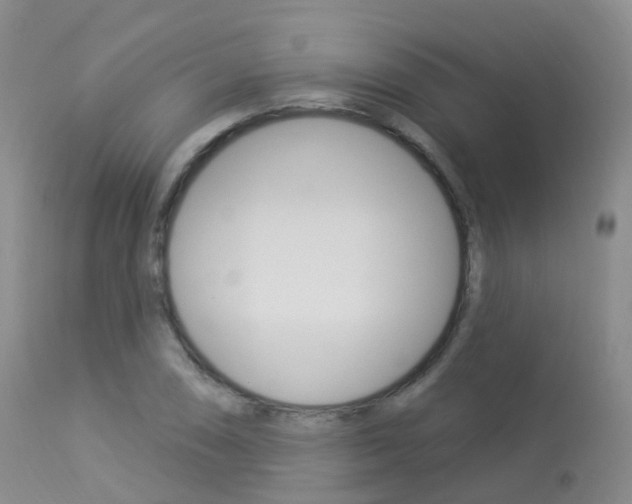 X0000113961074200909251021