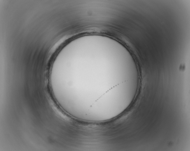 X0000113961075200909251021
