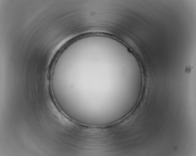 X0000113961076200909251021