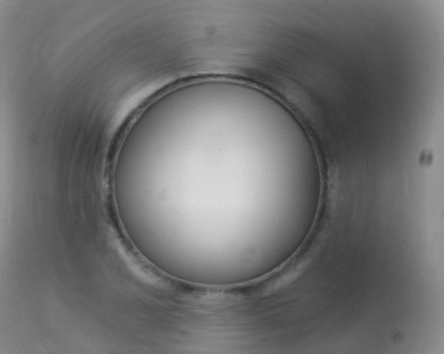 X0000113961077200909251021