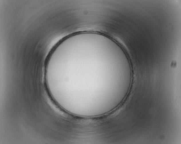 X0000113961079200909251021