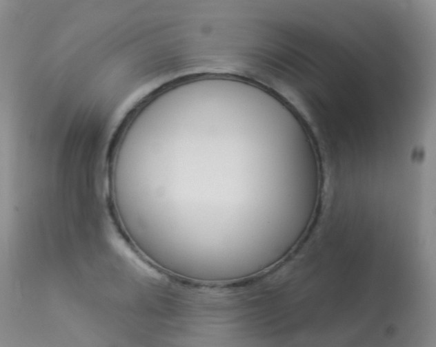 X0000113961080200909251021