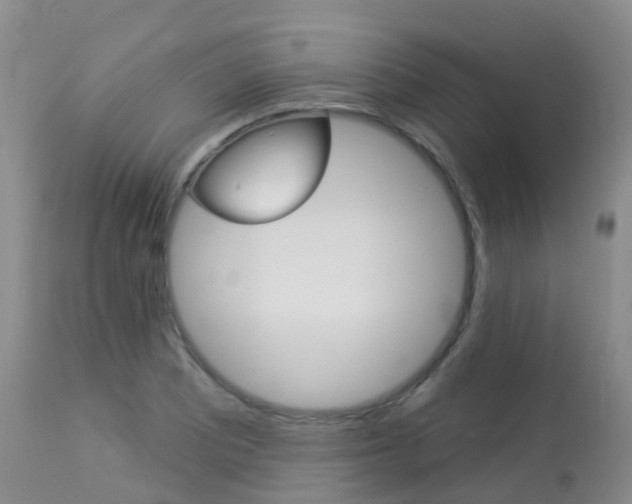 X0000113961081200909251021