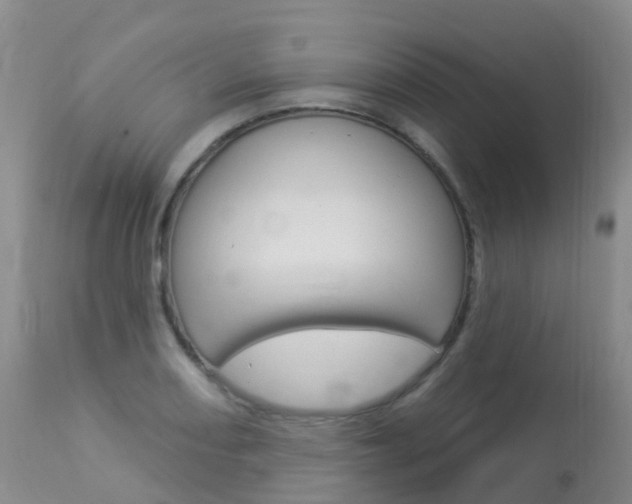 X0000113961082200909251021