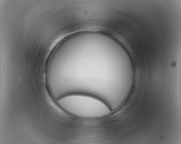 X0000113961083200909251021