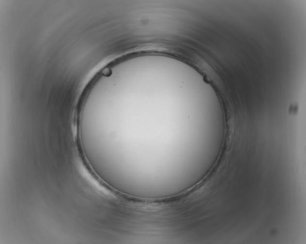 X0000113961084200909251021