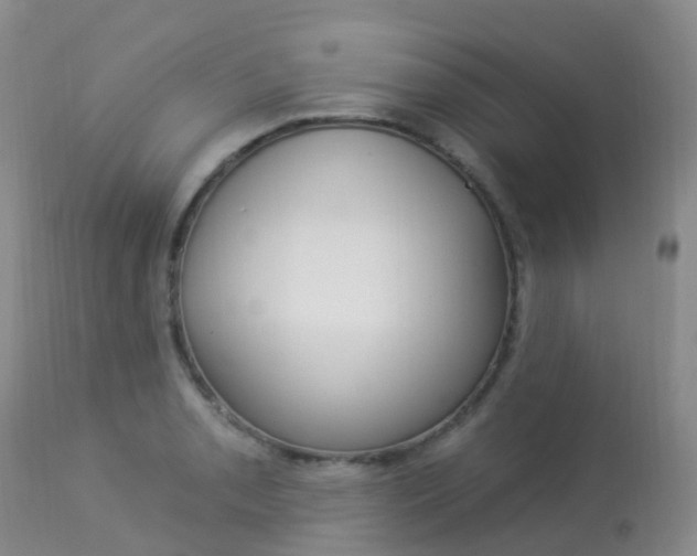 X0000113961085200909251021