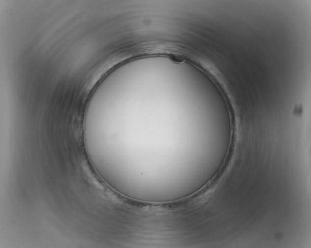 X0000113961089200909251021