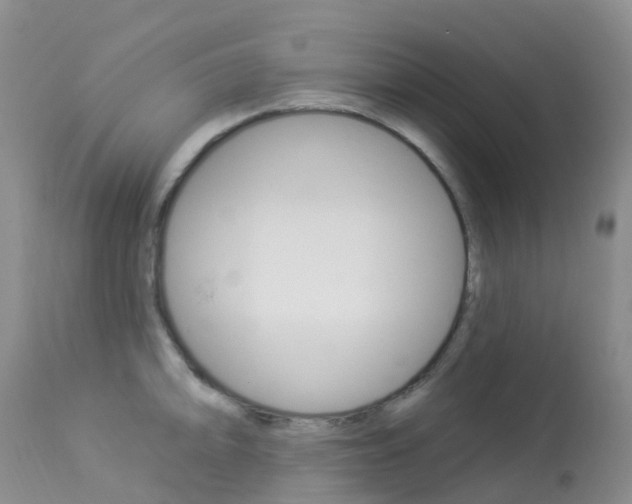 X0000113961094200909251021
