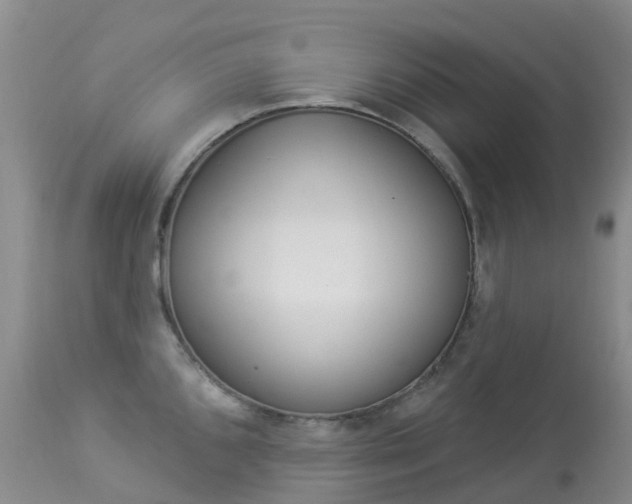 X0000113961096200909251021