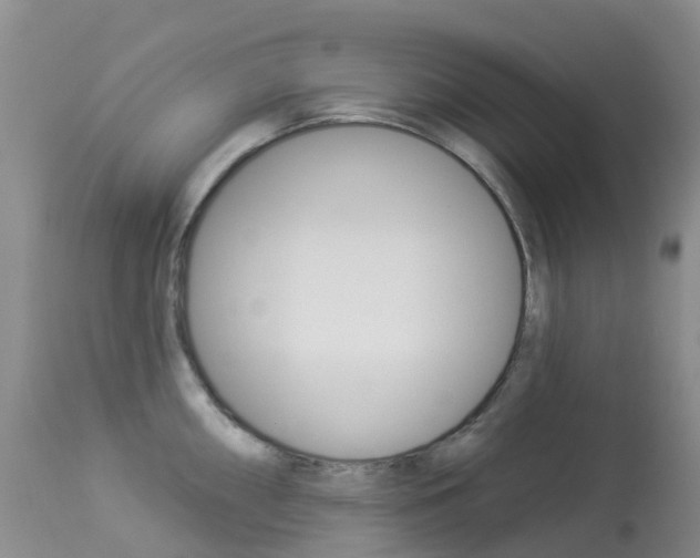 X0000113961098200909251021
