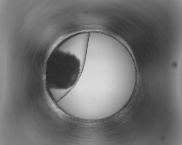 X0000113961099200909251021