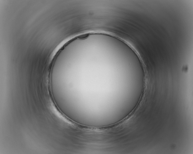 X0000113961100200909251021