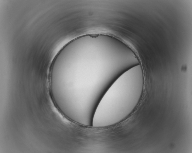 X0000113961103200909251021
