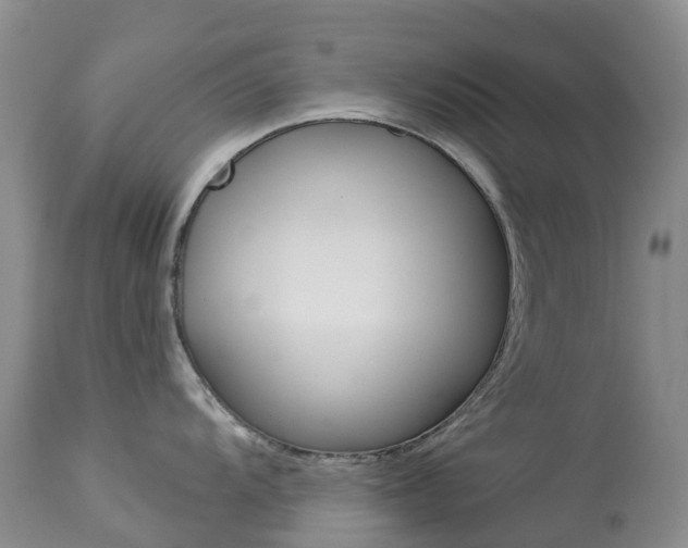 X0000113961104200909251021