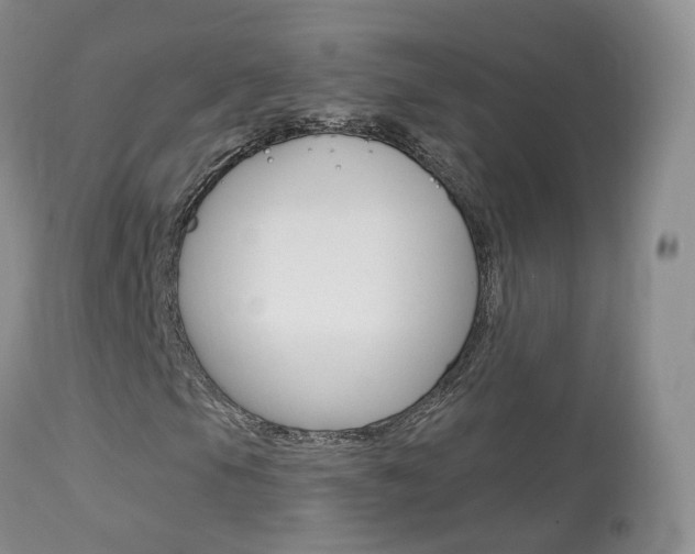 X0000113961105200909251020