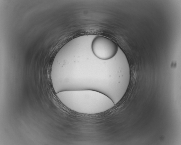 X0000113961106200909251020