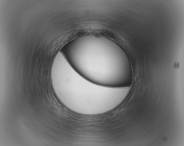 X0000113961108200909251020