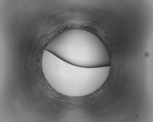 X0000113961109200909251020