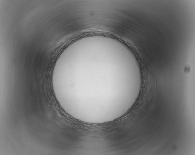X0000113961110200909251020