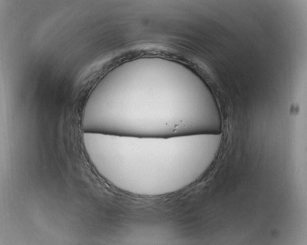 X0000113961111200909251020