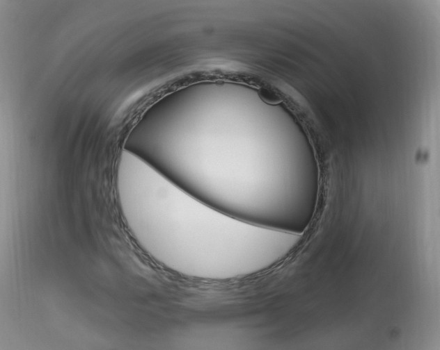 X0000113961112200909251020