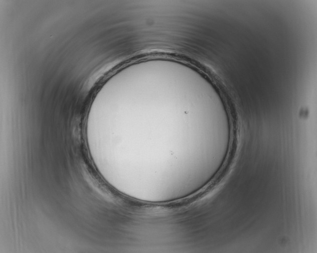 X0000113961113200909251020
