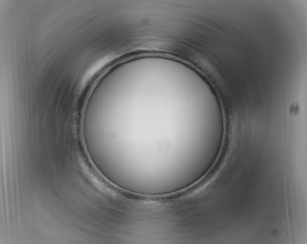 X0000113961114200909251020
