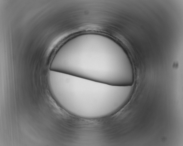 X0000113961115200909251020