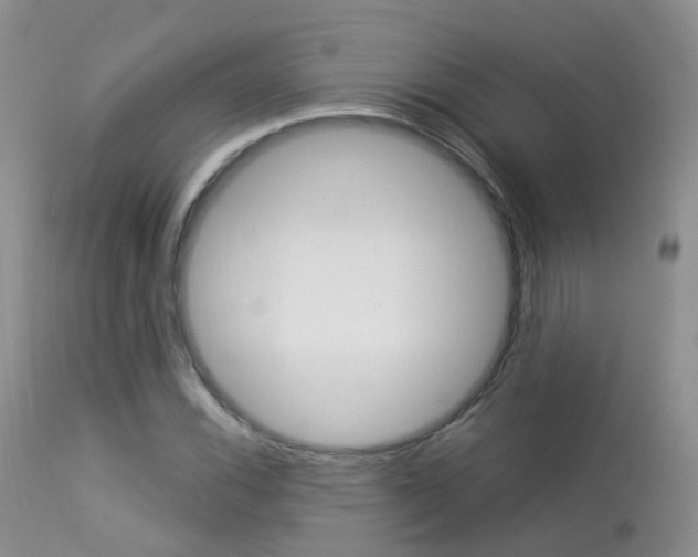 X0000113961116200909251020