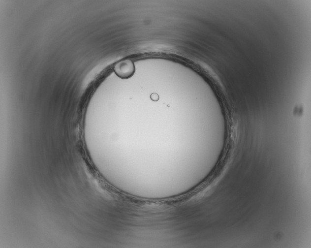 X0000113961117200909251020