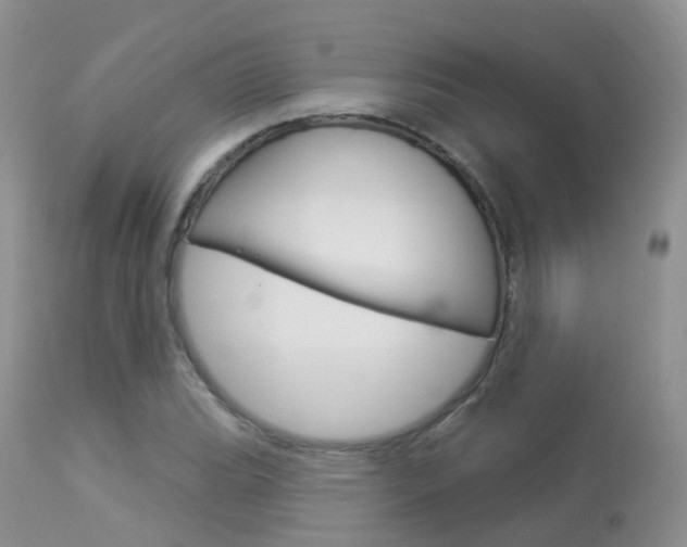 X0000113961119200909251020