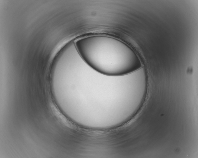 X0000113961122200909251020