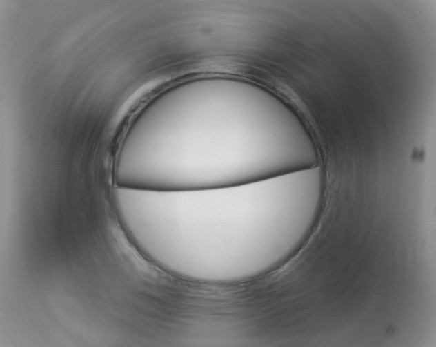 X0000113961123200909251020