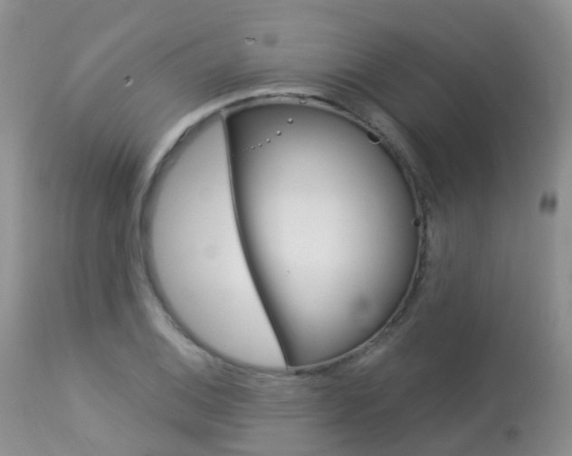 X0000113961124200909251020