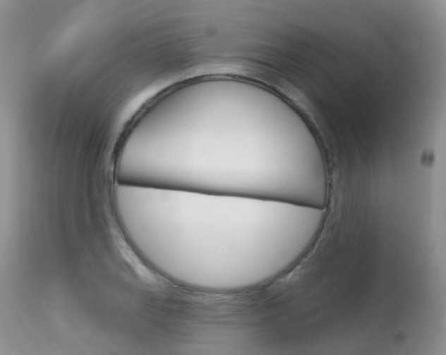 X0000113961127200909251020
