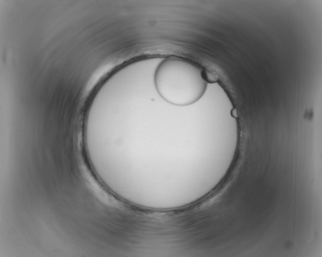 X0000113961130200909251020