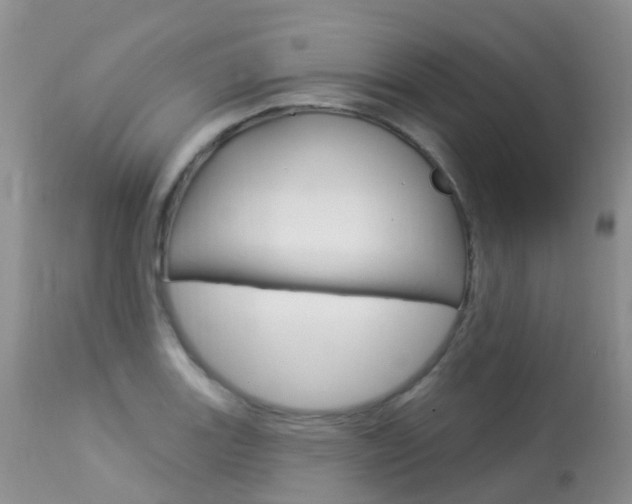 X0000113961131200909251020