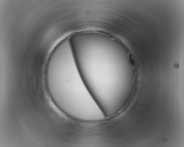 X0000113961134200909251020