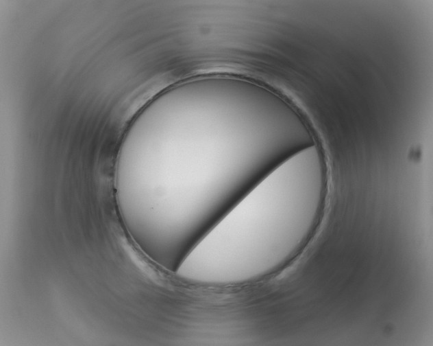 X0000113961137200909251020