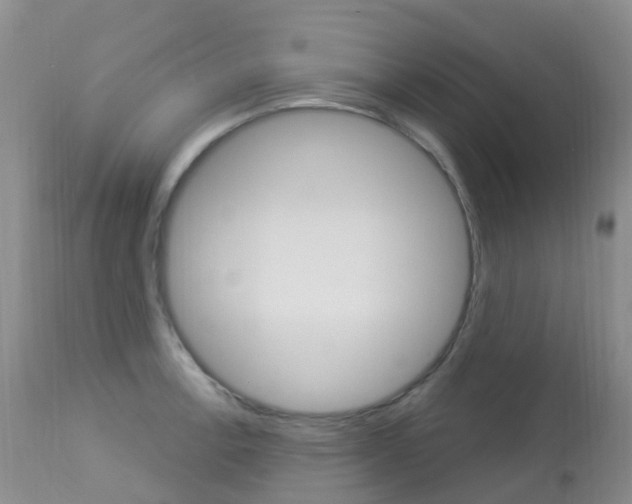X0000113961138200909251020