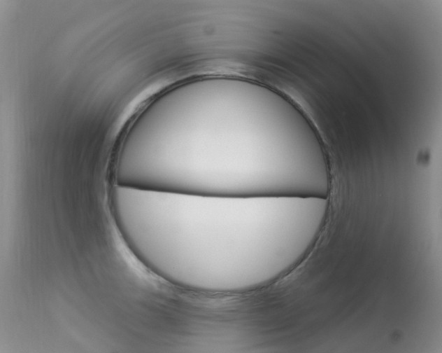 X0000113961139200909251020