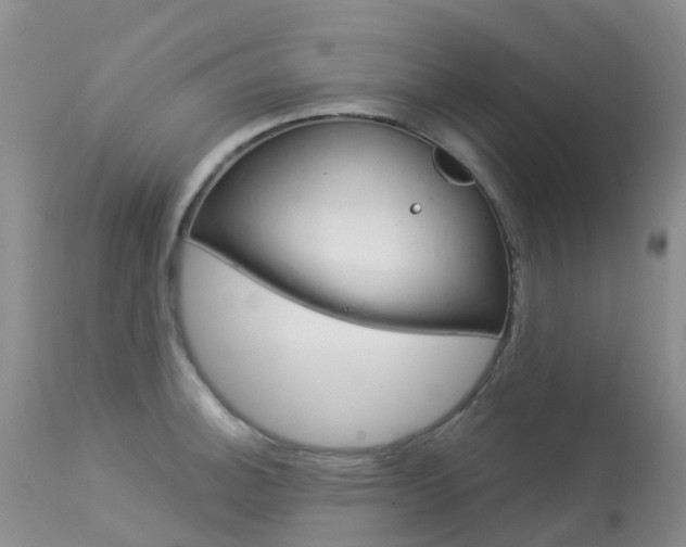 X0000113961140200909251020